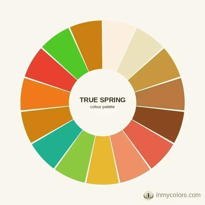 True Spring colour palette wheel — warm clear colours for True Spring season