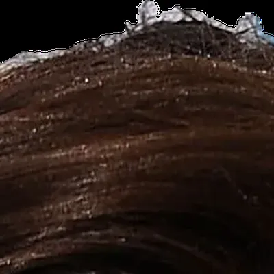 Anne Hathaway's hair — very dark near-black cool, Deep Winter signature