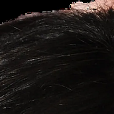 Audrey Tautou's hair — very dark cool brown, True Winter signature