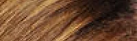 Beyoncé's hair — warm golden-brown natural, True Autumn warmth