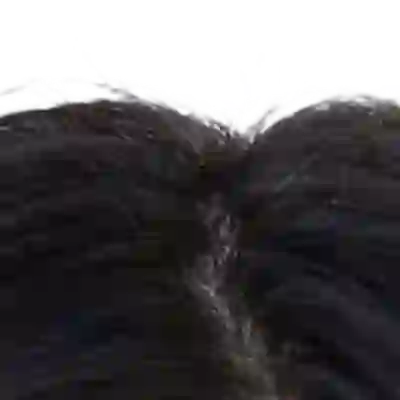 Camila Cabello's hair — very dark warm-brown at the scalp