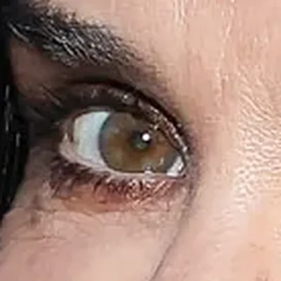 Demi Moore's eyes — cool dark brown-grey, Deep Winter quality