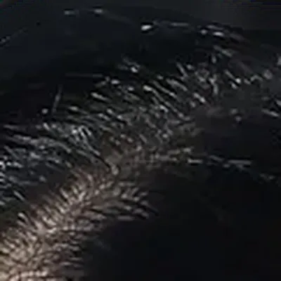 Demi Moore's hair — very dark near-black cool, Deep Winter signature