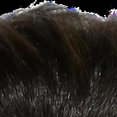 Jessica Alba's hair — warm chestnut brown, True Autumn signature