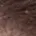 Lana Del Rey's hair — honey caramel warm brown, Soft Autumn signature