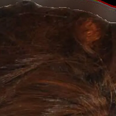 Sophie Ellis-Bextor's hair — dark cool brown, Bright Winter contrast signature